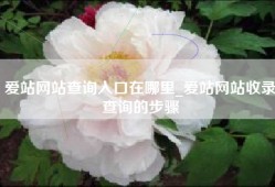 爱站网站查询入口在哪里_爱站网站收录查询的步骤