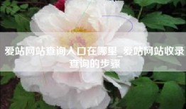 爱站网站查询入口在哪里_爱站网站收录查询的步骤