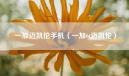一加迈凯伦手机（一加6t迈凯伦）