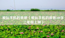 爱玩手机的爸爸（爱玩手机的爸爸300字三年级上册）