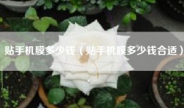 贴手机膜多少钱（贴手机膜多少钱合适）