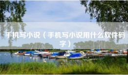 手机写小说（手机写小说用什么软件码字）