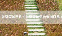 东京商城手机（东京商城平台查询订单）