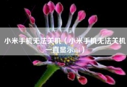 小米手机无法关机（小米手机无法关机一直显示mi）