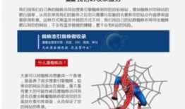 百度蜘蛛池引流：蜘蛛池被K站，SEO策略的反思与重塑