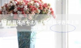 手机蓝牙连不上车（手机蓝牙连不上车载蓝牙）