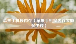 苹果手机换内存（苹果手机换内存大概多少钱）
