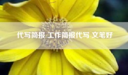 代写简报 工作简报代写 文笔好