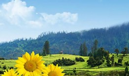 四川五天四晚跟团旅游攻略 四川5日游多少钱？闭眼冲！