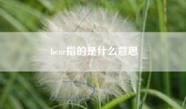bear指的是什么意思