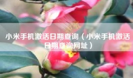 小米手机激活日期查询（小米手机激活日期查询网址）