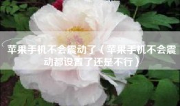 苹果手机不会震动了（苹果手机不会震动都设置了还是不行）