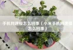 手机网速慢怎么回事（小米手机网速慢怎么回事）