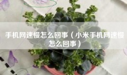 手机网速慢怎么回事（小米手机网速慢怎么回事）