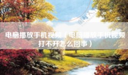 电脑播放手机视频（电脑播放手机视频打不开怎么回事）