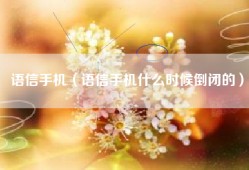 语信手机（语信手机什么时候倒闭的）