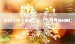 语信手机（语信手机什么时候倒闭的）