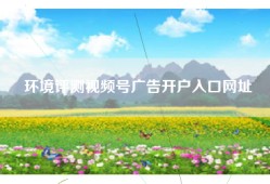 环境评测视频号广告开户入口网址
