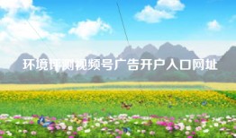 环境评测视频号广告开户入口网址