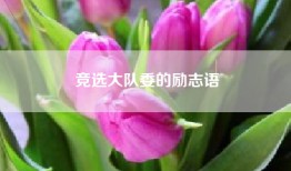 竞选大队委的励志语