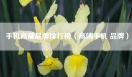 手机高端品牌排行榜（高端手机 品牌）