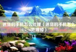 退货的手机怎么处理（退货的手机怎么处理掉）