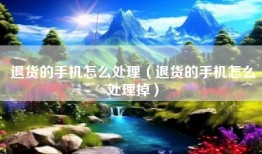 退货的手机怎么处理（退货的手机怎么处理掉）