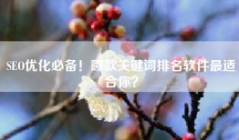SEO优化必备！哪款关键词排名软件最适合你？
