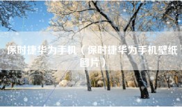 保时捷华为手机（保时捷华为手机壁纸图片）