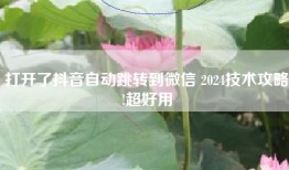 打开了抖音自动跳转到微信 2024技术攻略!超好用