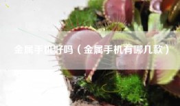 金属手机好吗（金属手机有哪几款）