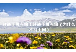 联通手机充值（联通手机充值了为什么不能上网）