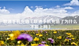 联通手机充值（联通手机充值了为什么不能上网）