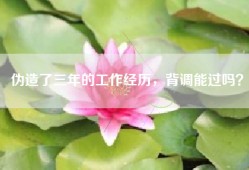 伪造了三年的工作经历，背调能过吗？