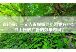 看过来，一文告诉你微信小游戏在小红书上投放广告的效果如何？