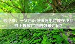 看过来，一文告诉你微信小游戏在小红书上投放广告的效果如何？