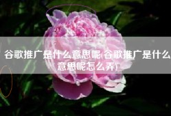 谷歌推广是什么意思呢(谷歌推广是什么意思呢怎么弄)