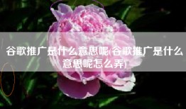 谷歌推广是什么意思呢(谷歌推广是什么意思呢怎么弄)