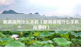 跑滴滴用什么手机（跑滴滴用什么手机接单好）