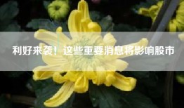 利好来袭！这些重要消息将影响股市