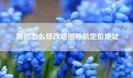 新店怎么修改地图导航定位地址
