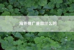 海外推广是做什么的