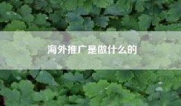 海外推广是做什么的