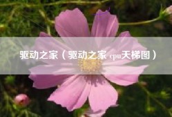 驱动之家（驱动之家 cpu天梯图）