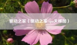 驱动之家（驱动之家 cpu天梯图）