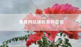 美食网站建设答辩意见