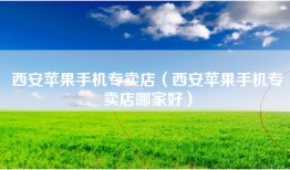 西安苹果手机专卖店（西安苹果手机专卖店哪家好）