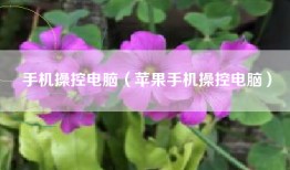 手机操控电脑（苹果手机操控电脑）