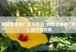 网络营销推广怎么引流_网络营销推广怎么做才有效果