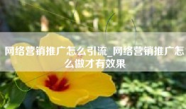 网络营销推广怎么引流_网络营销推广怎么做才有效果